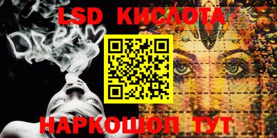 a pvp Новодвинск