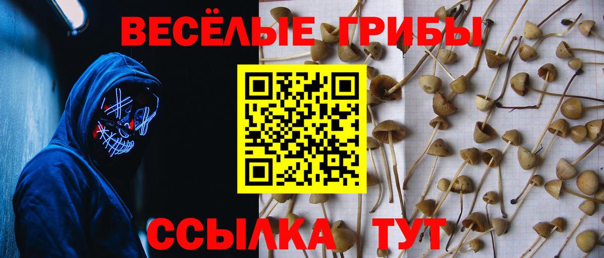 Меф МЯУ МЯУ кристаллы  КОКАИН  ГАШИШ  Конопля  Где продают наркотики?  Симферополь  Вход с VPN 