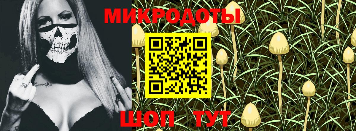 Симферополь  Псилоцибиновые грибы Psilocybine cubensis  Вход с VPN  Псилоцибиновые грибы Psilocybine cubensis 
